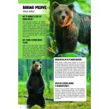 Lenyűgöző állatvilág - 120 érdekes kérdés az állatokról (szállítási sérült)