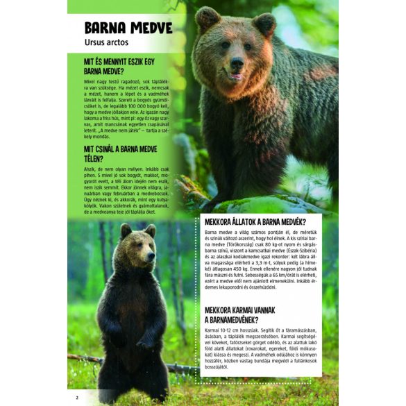 Lenyűgöző állatvilág - 120 érdekes kérdés az állatokról (szállítási sérült)