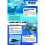 Lenyűgöző állatvilág - 120 érdekes kérdés az állatokról (szállítási sérült)