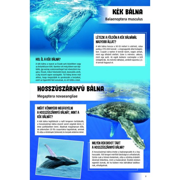 Lenyűgöző állatvilág - 120 érdekes kérdés az állatokról (szállítási sérült)