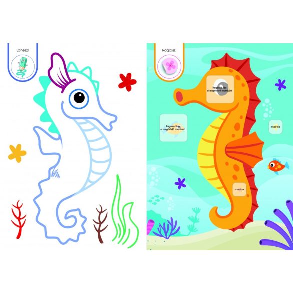 Cápika és barátai