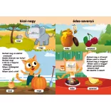 Pisze és az ellentétek - Első foglalkoztatóm