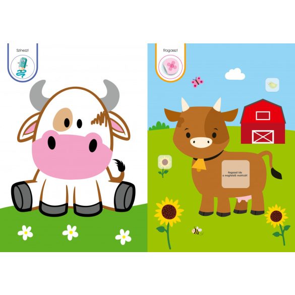 Csillag lovacska - matricás füzet