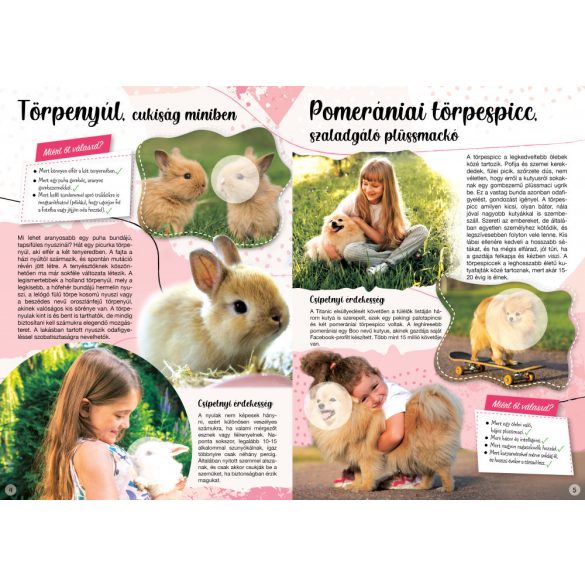 A legcsajosabb kedvencek-matricás füzet