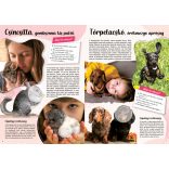 A legcsajosabb kedvencek-matricás füzet