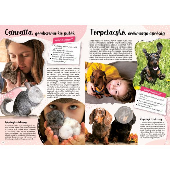 A legcsajosabb kedvencek-matricás füzet