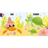 Hol van a halacska? - fürdőskönyv