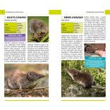 Emlősök - Természetbarátok zsebkönyve