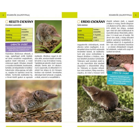 Emlősök - Természetbarátok zsebkönyve