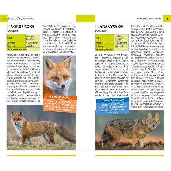 Emlősök - Természetbarátok zsebkönyve