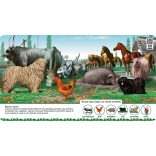 A tanyavilág lakói 4+ Keresd meg az állatokat!