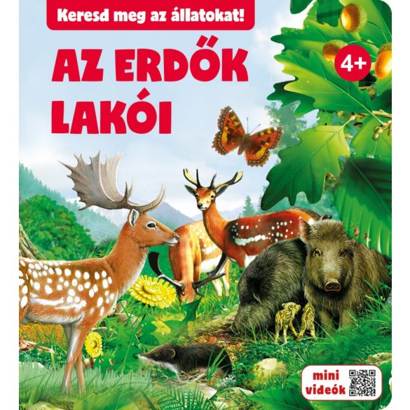 Az erdők lakói 4+ Keresd meg az állatokat!