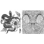 Ezerszín színezőkönyv