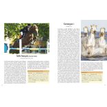 A világ legszebb lovai 22 lófajta bemutatása ÚJ