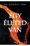 Egy életed van