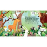 Az erdő meséje (szállítási sérült)