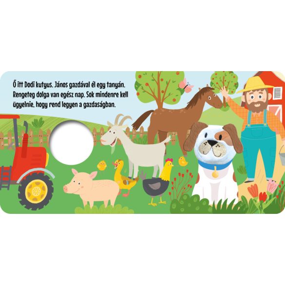 Merre jársz, Dodi?  - ujjbábos kartonkönyv