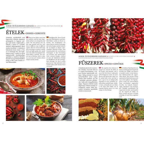 Hungarikumok Válogatott nemzeti értékeink új