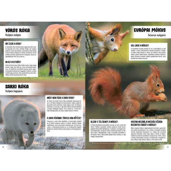 Lenyűgöző állatvilág