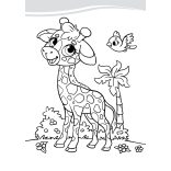 Legszínesebb állatok - kifestő gyerekeknek