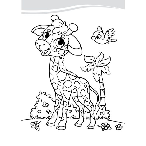 Legszínesebb állatok - kifestő gyerekeknek