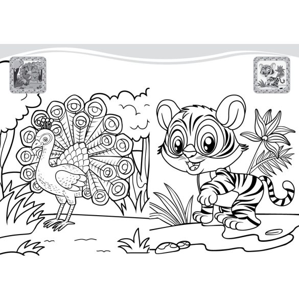Legszínesebb állatok - kifestő gyerekeknek