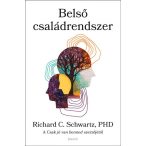 Belső Családrendszer