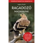 Ragadozó madaraink - Természetbarátok zsebkönyve