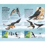 Ragadozó madaraink - Természetbarátok zsebkönyve