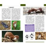 Nyomolvasás a természetben - Természetbarátok zsebkönyve