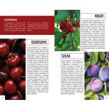 Házikert - Természetbarátok zsebkönyve