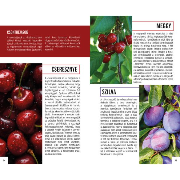 Házikert - Természetbarátok zsebkönyve