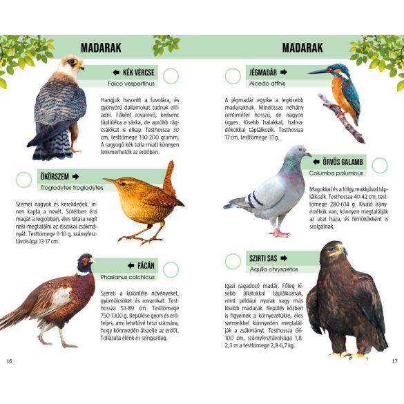 Erdők élővilága - Természetbarátok zsebkönyve