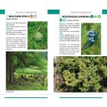 Ismerd fel a fákat - Természetbarátok zsebkönyve