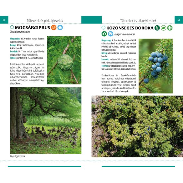 Ismerd fel a fákat - Természetbarátok zsebkönyve