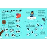 Legyél te is nyomkereső