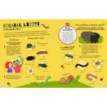 Legyél te is nyomkereső