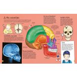 Izmok és csontok - A pálcikaemberek bemutatják
