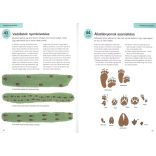 101 tipp túlélés a természetben