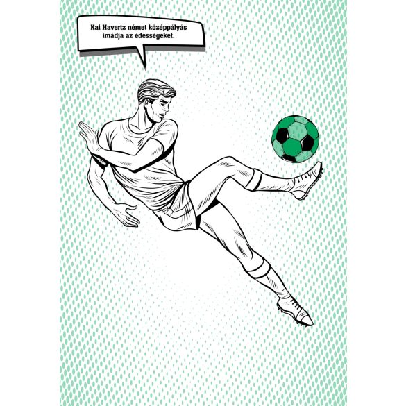 Kedvenc focis kifestőm