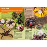 A legveszélyesebb állatok