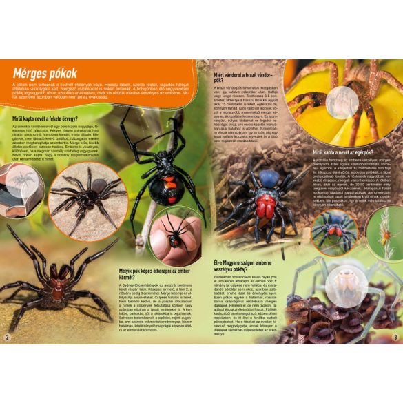 A legveszélyesebb állatok