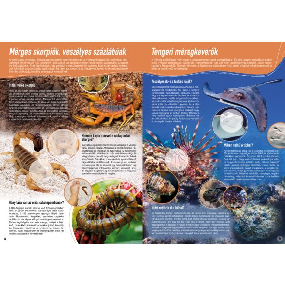 A legveszélyesebb állatok