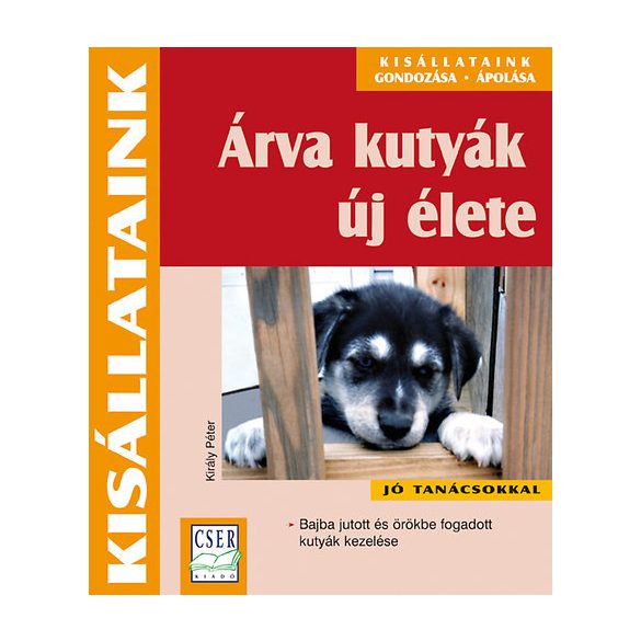 Árva kutyák új élete - kisállataink