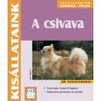 A csivava - kisállataink