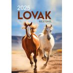 2025 Naptár: Lovak