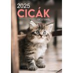 2025 Naptár: Cicák