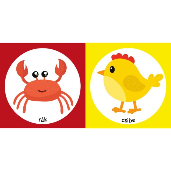 Színes állatkák - fürdőskönyv