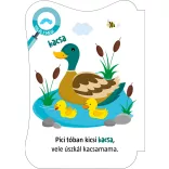 Háziállatok - mondókáskönyv (kartonkönyv)