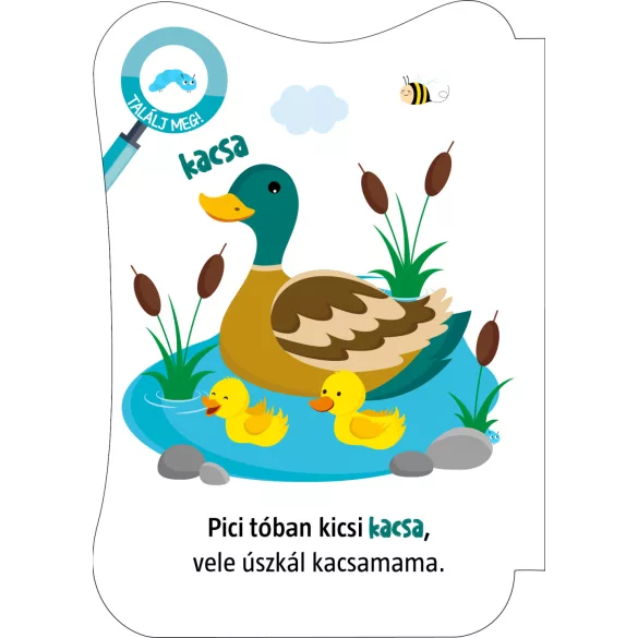 Háziállatok - mondókáskönyv (kartonkönyv)